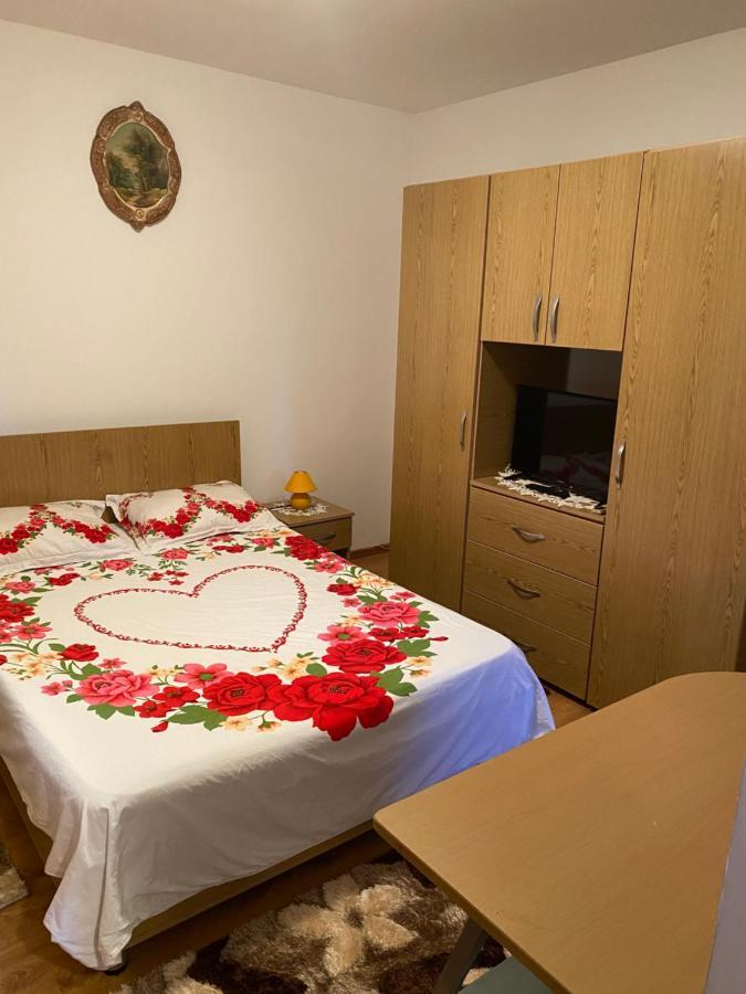 Garsoniera Delfinariu Hotel Constanta Exterior photo